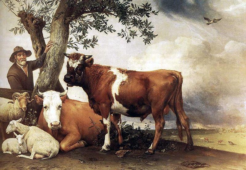POTTER, Paulus bull oil painting image